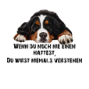 Berner sennenhund