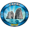 Capri Faraglioni