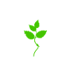 Be green, be better