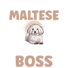 Maltese Owner Gifts