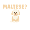 Maltese Owner Gifts