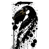 Pelican lightness
