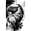Tropical parrot magic
