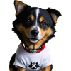 Cute dog
