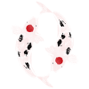 Koi