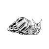 Snail owner - snail mom