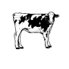 Cow owner - cow mom