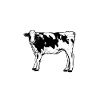 Cow lover - cow dad