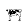 Cow owner - cow dad