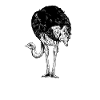 Ostrich lover - Ostrich dad