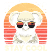koala stay cool