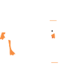 Goose Peace To War Sarkasme Meme Sjove dyr