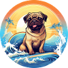 Surfing Pug Dog at sunset