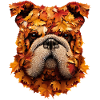 Mops Hund Herbstmops