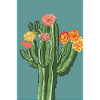 Cactus with flowers