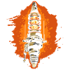 Experienced Spark Plug Mechanic