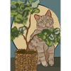 Chat avec plante