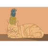 Cat with pineapple