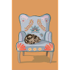 A sleeping cat