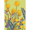 Eine wilde Blumenwiese