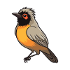 Bulbul Cartoon Kawaii Aquarelle Illustration