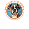Boxer-Hunderasse Hundehalter lustige Sprüche