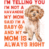Havanese Lustiger Spruch