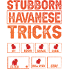 Stubborn Havanese Tricks