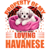 Property of my loving Havanese