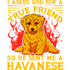 Jeg bad Gud om en sand ven, han sendte mig Havanese