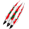 FLAG OF AMAZIGH MOROCCO SYMBOL BERBER MOROCCO