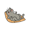 Purrfectly Chill Saying Cat