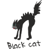 Funny black cat