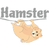 Funny Hamster