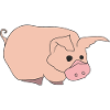 Funny Pig