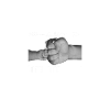Papa 2024 Loading