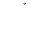 Turtle with butterfly