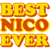 Nico First Name Funny Gift