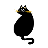 black cat turns around