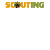 Boy Scout Cool