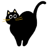 Chat noir effrayé