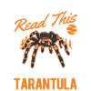 Tarantula Gift Spider Tarantula