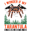 Tarantula Spider Tarantula