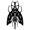 MOTH EDGE TATTOO