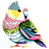 Cockatiel Budgie Bird Bird Propriétaire