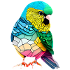 Budgie Bird Propriétaire Bird Cockatiel