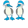 Galapagos Christmas