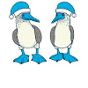 Blue-footed booby Santa hat