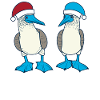 Blue-footed booby Christmas