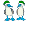 Blue-footed booby Green Christmas hat